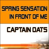 Portada para "Spring Sensation"