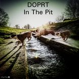 Artwork for "In The Pit"