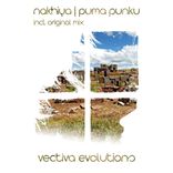 Artwork for "Puma Punku"