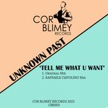 Artwork for "Tell Me What U Want"