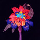 Artwork voor "Nervous Tics (feat. Holly Walker) (DJ Tennis Remix)"