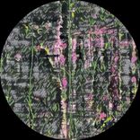 Portada para "Mood Island EP"