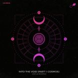 Into the Void (Part I: Cosmos)
