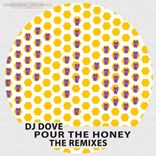 Portada para "Pour The Honey (The Remixes)"