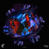 Let's Continue to Fly