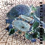 Portada para "Meaninglessness"