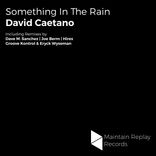 Artwork voor "Something In The Rain"