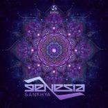Artwork for "Sankhya"