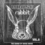 Artwork for "House Rabbit Vol. 6"