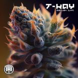 Artwork for "Ganjah (Vip)"