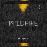 Artwork for "Wildfire"