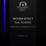 Artwork for "Never Disappear"