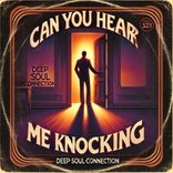 Portada para "Can You Hear Me Knocking"