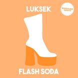 Portada para "Flash Soda"