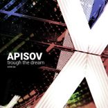 Artwork for "Through the Dream"