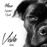 Portada para "Imperfect"