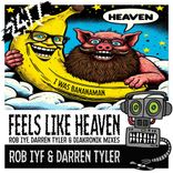 Artwork for "Feels Like Heaven"