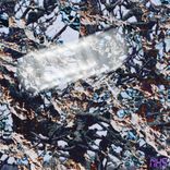 Artwork for "Bailes Mudos"