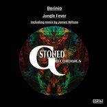 Artwork for "Jungle Fever"