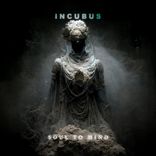 Artwork für "Incubus"