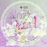 Artwork für "Pirup Dance"