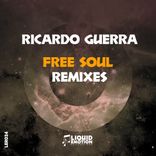 Artwork für "Free Soul (The Remixes)"