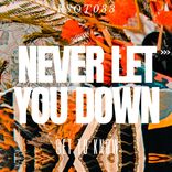 Artwork voor "Never Let You Down"