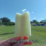 Artwork für "Bitting the Stick"