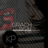 Artwork für "Electronic Boogie"