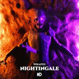 Artwork for "Nightingale"