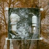 Portada para "Persect"