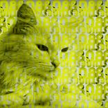 Artwork für "No Worries"