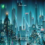 Artwork voor "Floodgates"