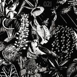 Artwork for "Voodoo Masai"