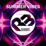 Artwork for "R3sizzer pres. Summer Vibes 2014"