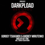 Artwork for "Breath of Fire"