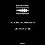 Artwork for "Destroyer"