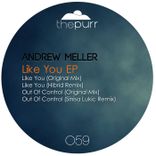 Artwork for "Like You"