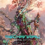Artwork for "Digital Nature"
