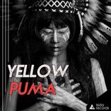Artwork for "Yellow Puma"