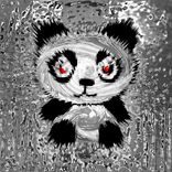 Portada para "Rave The Rabbit"