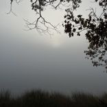 Artwork für "¯\__(ツ)__/¯"