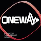 Portada para "Multiplyer"