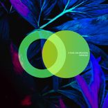 Artwork for "Paradox"