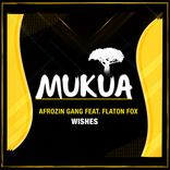 Portada para "Wishes"