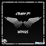 Portada para "Wings"