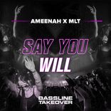 Artwork for "Say You Will"