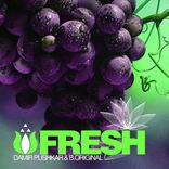 Artwork for "Fresh"