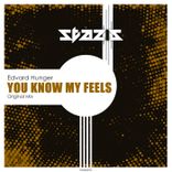 Artwork voor "You Know My Feels"