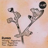 Portada para "Morning"